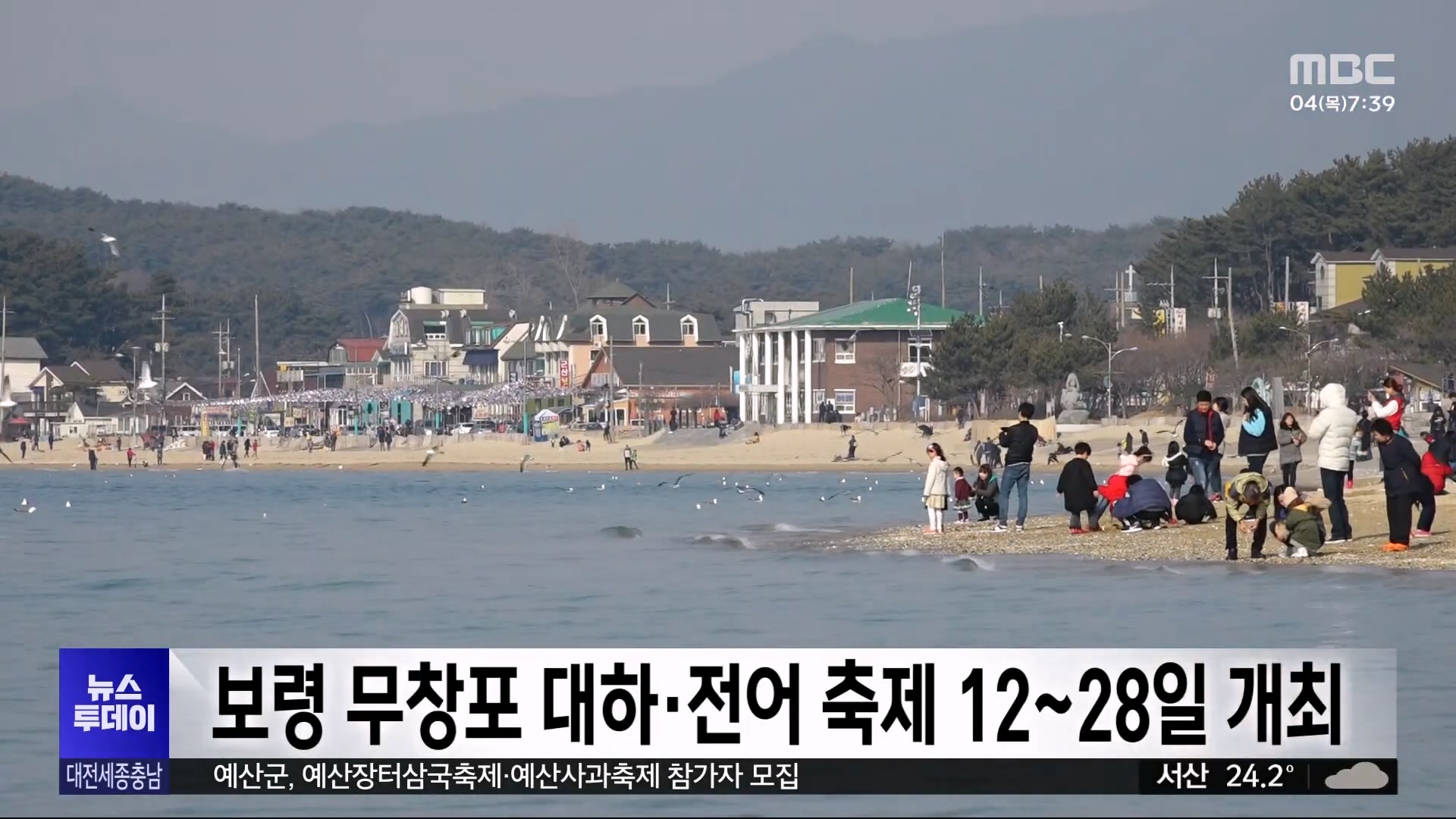 [0904 mbc 아침7시뉴스]보령 무창포 대하·전어 축제 12~28일 개최